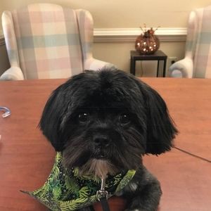 Meet your Posher, Christy